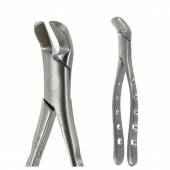 American Pattern Forceps